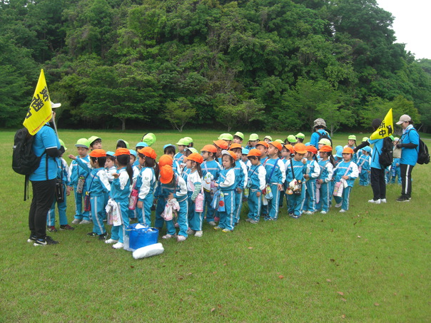 CIMG2945.jpg