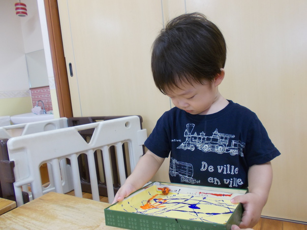 DSCN0040.jpg