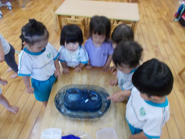 DSCN0129_R.jpg