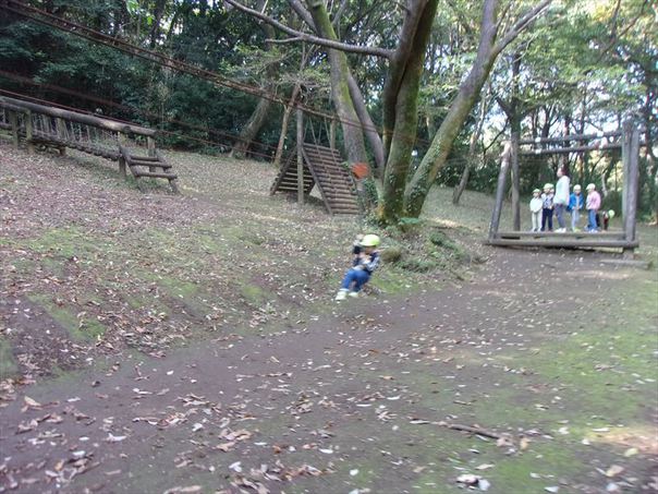 113_3432_R.jpg